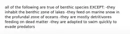 all of the following are true of benthic species EXCEPT: -they inhabit the benthic zone of lakes -they feed on marine snow in the profundal zone of oceans -they are mostly detritivores feeding on dead matter -they are adapted to swim quickly to evade predators