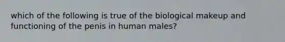 which of the following is true of the biological makeup and functioning of the penis in human males?