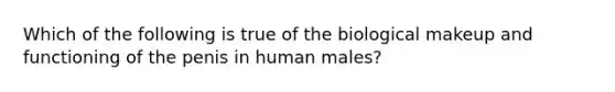 Which of the following is true of the biological makeup and functioning of the penis in human males?