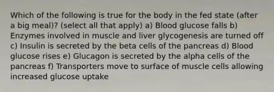 Which of the following is true for the body in the fed state (after a big meal)? (select all that apply) a) Blood glucose falls b) Enzymes involved in muscle and liver glycogenesis are turned off c) Insulin is secreted by the beta cells of the pancreas d) Blood glucose rises e) Glucagon is secreted by the alpha cells of the pancreas f) Transporters move to surface of muscle cells allowing increased glucose uptake