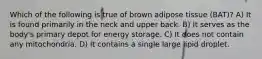 Which of the following is true of brown adipose tissue (BAT)? A) It is found primarily in the neck and upper back. B) It serves as the body's primary depot for energy storage. C) It does not contain any mitochondria. D) It contains a single large lipid droplet.