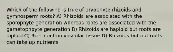 Which of the following is true of bryophyte rhizoids and gymnosperm roots? A) Rhizoids are associated with the sporophyte generation whereas roots are associated with the gametophpyte generation B) Rhizoids are haploid but roots are diploid C) Both contain <a href='https://www.questionai.com/knowledge/k1HVFq17mo-vascular-tissue' class='anchor-knowledge'>vascular tissue</a> D) Rhizoids but not roots can take up nutrients