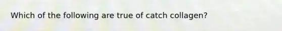 Which of the following are true of catch collagen?