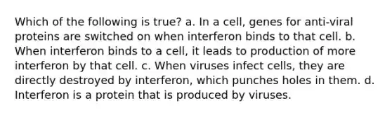 Which of the following is true? a. In a cell, genes for anti-viral proteins are switched on when interferon binds to that cell. b. When interferon binds to a cell, it leads to production of more interferon by that cell. c. When viruses infect cells, they are directly destroyed by interferon, which punches holes in them. d. Interferon is a protein that is produced by viruses.