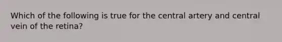 Which of the following is true for the central artery and central vein of the retina?