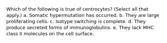 Which of the following is true of centrocytes? (Select all that apply.) a. Somatic hypermutation has occurred. b. They are large proliferating cells. c. Isotype switching is complete. d. They produce secreted forms of immunoglobulins. e. They lack MHC class II molecules on the cell surface.