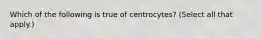 Which of the following is true of centrocytes? (Select all that apply.)