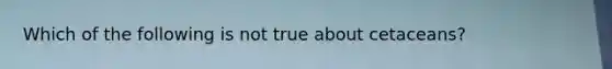 Which of the following is not true about cetaceans?