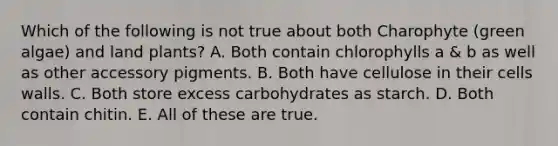 Which of the following is not true about both Charophyte (green algae) and land plants? A. Both contain chlorophylls a & b as well as other accessory pigments. B. Both have cellulose in their cells walls. C. Both store excess carbohydrates as starch. D. Both contain chitin. E. All of these are true.