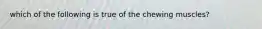 which of the following is true of the chewing muscles?