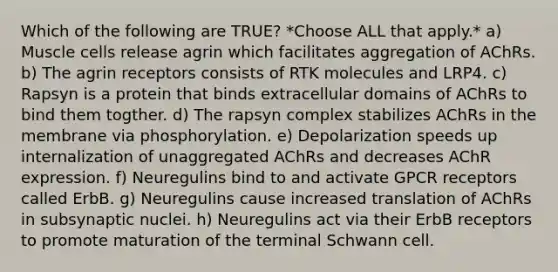 Which of the following are TRUE? *Choose ALL that apply.* a) Muscle cells release agrin which facilitates aggregation of AChRs. b) The agrin receptors consists of RTK molecules and LRP4. c) Rapsyn is a protein that binds extracellular domains of AChRs to bind them togther. d) The rapsyn complex stabilizes AChRs in the membrane via phosphorylation. e) Depolarization speeds up internalization of unaggregated AChRs and decreases AChR expression. f) Neuregulins bind to and activate GPCR receptors called ErbB. g) Neuregulins cause increased translation of AChRs in subsynaptic nuclei. h) Neuregulins act via their ErbB receptors to promote maturation of the terminal Schwann cell.