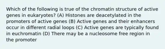 Which of the following is true of the chromatin structure of active genes in eukaryotes? (A) Histones are deacetylated in the promoters of active genes (B) Active genes and their enhancers occur in different radial loops (C) Active genes are typically found in euchromatin (D) There may be a nucleosome free region in the promoter