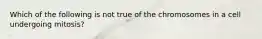 Which of the following is not true of the chromosomes in a cell undergoing mitosis?