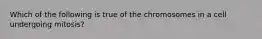 Which of the following is true of the chromosomes in a cell undergoing mitosis?