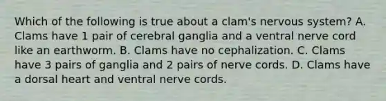 Which of the following is true about a clam's <a href='https://www.questionai.com/knowledge/kThdVqrsqy-nervous-system' class='anchor-knowledge'>nervous system</a>? A. Clams have 1 pair of cerebral ganglia and a ventral nerve cord like an earthworm. B. Clams have no cephalization. C. Clams have 3 pairs of ganglia and 2 pairs of nerve cords. D. Clams have a dorsal heart and ventral nerve cords.