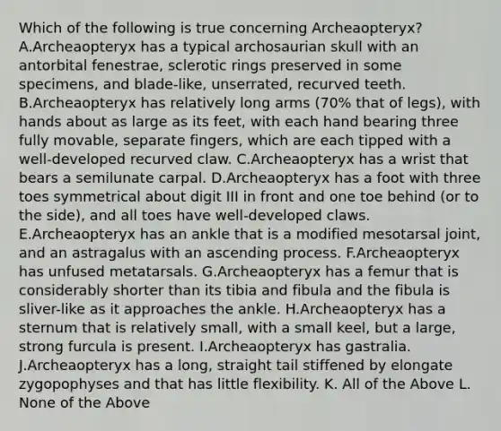 Which of the following is true concerning Archeaopteryx? A.Archeaopteryx has a typical archosaurian skull with an antorbital fenestrae, sclerotic rings preserved in some specimens, and blade-like, unserrated, recurved teeth. B.Archeaopteryx has relatively long arms (70% that of legs), with hands about as large as its feet, with each hand bearing three fully movable, separate fingers, which are each tipped with a well-developed recurved claw. C.Archeaopteryx has a wrist that bears a semilunate carpal. D.Archeaopteryx has a foot with three toes symmetrical about digit III in front and one toe behind (or to the side), and all toes have well-developed claws. E.Archeaopteryx has an ankle that is a modified mesotarsal joint, and an astragalus with an ascending process. F.Archeaopteryx has unfused metatarsals. G.Archeaopteryx has a femur that is considerably shorter than its tibia and fibula and the fibula is sliver-like as it approaches the ankle. H.Archeaopteryx has a sternum that is relatively small, with a small keel, but a large, strong furcula is present. I.Archeaopteryx has gastralia. J.Archeaopteryx has a long, straight tail stiffened by elongate zygopophyses and that has little flexibility. K. All of the Above L. None of the Above