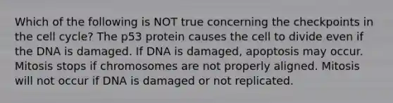 Which of the following is NOT true concerning the checkpoints in the cell cycle? The p53 protein causes the cell to divide even if the DNA is damaged. If DNA is damaged, apoptosis may occur. Mitosis stops if chromosomes are not properly aligned. Mitosis will not occur if DNA is damaged or not replicated.