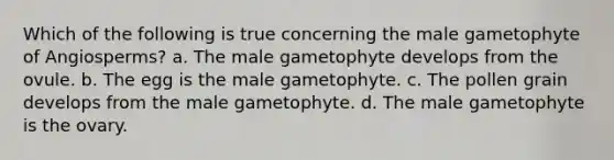 Which of the following is true concerning the male gametophyte of Angiosperms? a. The male gametophyte develops from the ovule. b. The egg is the male gametophyte. c. The pollen grain develops from the male gametophyte. d. The male gametophyte is the ovary.