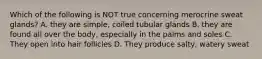 Which of the following is NOT true concerning merocrine sweat glands? A. they are simple, coiled tubular glands B. they are found all over the body, especially in the palms and soles C. They open into hair follicles D. They produce salty, watery sweat