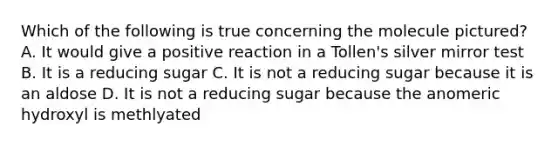 Which of the following is true concerning the molecule pictured? A. It would give a positive reaction in a Tollen's silver mirror test B. It is a reducing sugar C. It is not a reducing sugar because it is an aldose D. It is not a reducing sugar because the anomeric hydroxyl is methlyated