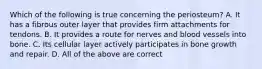 Which of the following is true concerning the periosteum? A. It has a fibrous outer layer that provides firm attachments for tendons. B. It provides a route for nerves and blood vessels into bone. C. Its cellular layer actively participates in bone growth and repair. D. All of the above are correct