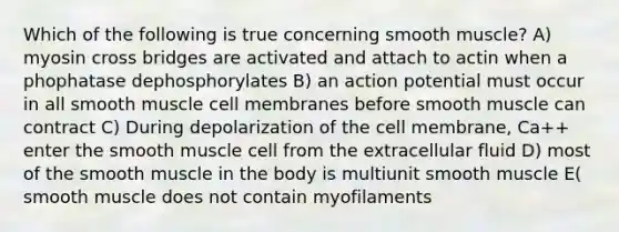 Which of the following is true concerning smooth muscle? A) myosin cross bridges are activated and attach to actin when a phophatase dephosphorylates B) an action potential must occur in all smooth muscle cell membranes before smooth muscle can contract C) During depolarization of the cell membrane, Ca++ enter the smooth muscle cell from the extracellular fluid D) most of the smooth muscle in the body is multiunit smooth muscle E( smooth muscle does not contain myofilaments