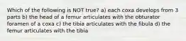 Which of the following is NOT true? a) each coxa develops from 3 parts b) the head of a femur articulates with the obturator foramen of a coxa c) the tibia articulates with the fibula d) the femur articulates with the tibia