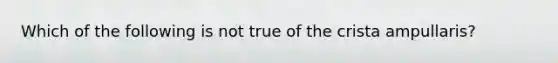 Which of the following is not true of the crista ampullaris?