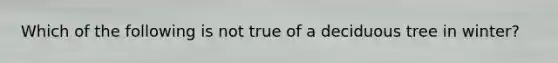 Which of the following is not true of a deciduous tree in winter?