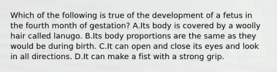 Which of the following is true of the development of a fetus in the fourth month of gestation? A.Its body is covered by a woolly hair called lanugo. B.Its body proportions are the same as they would be during birth. C.It can open and close its eyes and look in all directions. D.It can make a fist with a strong grip.