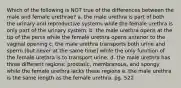 Which of the following is NOT true of the differences between the male and female urethrae? a. the male urethra is part of both the urinary and reproductive systems while the female urethra is only part of the urinary system. b. the male urethra opens at the tip of the penis while the female urethra opens anterior to the vaginal opening c. the male urethra transports both urine and sperm (but never at the same time) while the only function of the female urethra is to transport urine. d. the male urethra has three different regions: prostatic, membranous, and spongy while the female urethra lacks these regions e. the male urethra is the same length as the female urethra. pg. 522