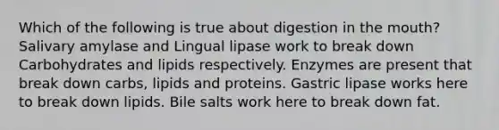 Which of the following is true about digestion in the mouth? Salivary amylase and Lingual lipase work to break down Carbohydrates and lipids respectively. Enzymes are present that break down carbs, lipids and proteins. Gastric lipase works here to break down lipids. Bile salts work here to break down fat.