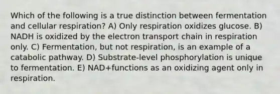 Which of the following is a true distinction between fermentation and cellular respiration? A) Only respiration oxidizes glucose. B) NADH is oxidized by the electron transport chain in respiration only. C) Fermentation, but not respiration, is an example of a catabolic pathway. D) Substrate-level phosphorylation is unique to fermentation. E) NAD+functions as an oxidizing agent only in respiration.