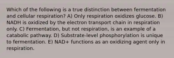 Which of the following is a true distinction between fermentation and cellular respiration? A) Only respiration oxidizes glucose. B) NADH is oxidized by the electron transport chain in respiration only. C) Fermentation, but not respiration, is an example of a catabolic pathway. D) Substrate-level phosphorylation is unique to fermentation. E) NAD+ functions as an oxidizing agent only in respiration.