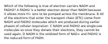 Which of the following is true of electron carriers NADH and FADH2? A FADH2 is a better electron donor than NADH because it allows more H+ ions to be pumped across the membrane. B All of the electrons that enter the transport chain (ETC) come from NADH and FADH2 molecules which are produced during earlier phases of cellular respiration. C NADH and FADH2 are single-use molecules so once they donate their electrons, they cannot be used again. D NADH is the oxidized form of NAD+ and FADH2 is the reduced form of FADH.