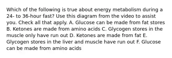 Which of the following is true about energy metabolism during a 24- to 36-hour fast? Use this diagram from the video to assist you. Check all that apply. A. Glucose can be made from fat stores B. Ketones are made from amino acids C. Glycogen stores in the muscle only have run out D. Ketones are made from fat E. Glycogen stores in the liver and muscle have run out F. Glucose can be made from amino acids