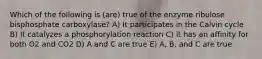 Which of the following is (are) true of the enzyme ribulose bisphosphate carboxylase? A) It participates in the Calvin cycle B) It catalyzes a phosphorylation reaction C) it has an affinity for both O2 and CO2 D) A and C are true E) A, B, and C are true