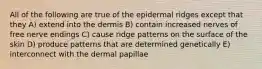 All of the following are true of the epidermal ridges except that they A) extend into the dermis B) contain increased nerves of free nerve endings C) cause ridge patterns on the surface of the skin D) produce patterns that are determined genetically E) interconnect with the dermal papillae