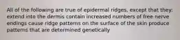 All of the following are true of epidermal ridges, except that they: extend into the dermis contain increased numbers of free nerve endings cause ridge patterns on the surface of the skin produce patterns that are determined genetically