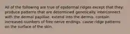 All of the following are true of epidermal ridges except that they: produce patterns that are determined genetically. interconnect with the dermal papillae. extend into the dermis. contain increased numbers of free nerve endings. cause ridge patterns on the surface of the skin.