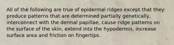 All of the following are true of epidermal ridges except that they: produce patterns that are determined partially genetically, interconnect with the dermal papillae, cause ridge patterns on the surface of the skin, extend into the hypodermis, increase <a href='https://www.questionai.com/knowledge/kEtsSAPENL-surface-area' class='anchor-knowledge'>surface area</a> and friction on fingertips.