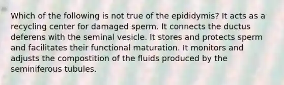 Which of the following is not true of the epididymis? It acts as a recycling center for damaged sperm. It connects the ductus deferens with the seminal vesicle. It stores and protects sperm and facilitates their functional maturation. It monitors and adjusts the compostition of the fluids produced by the seminiferous tubules.