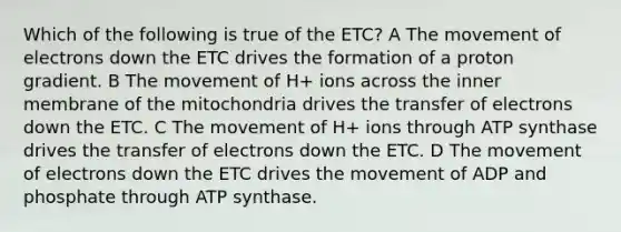 Which of the following is true of the ETC? A The movement of electrons down the ETC drives the formation of a proton gradient. B The movement of H+ ions across the inner membrane of the mitochondria drives the transfer of electrons down the ETC. C The movement of H+ ions through ATP synthase drives the transfer of electrons down the ETC. D The movement of electrons down the ETC drives the movement of ADP and phosphate through ATP synthase.