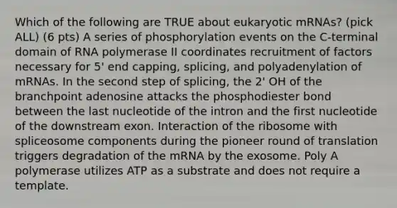 Which of the following are TRUE about eukaryotic mRNAs? (pick ALL) (6 pts) A series of phosphorylation events on the C-terminal domain of RNA polymerase II coordinates recruitment of factors necessary for 5' end capping, splicing, and polyadenylation of mRNAs. In the second step of splicing, the 2' OH of the branchpoint adenosine attacks the phosphodiester bond between the last nucleotide of the intron and the first nucleotide of the downstream exon. Interaction of the ribosome with spliceosome components during the pioneer round of translation triggers degradation of the mRNA by the exosome. Poly A polymerase utilizes ATP as a substrate and does not require a template.