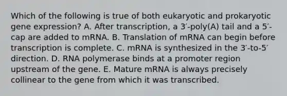 Which of the following is true of both eukaryotic and prokaryotic <a href='https://www.questionai.com/knowledge/kFtiqWOIJT-gene-expression' class='anchor-knowledge'>gene expression</a>? A. After transcription, a 3′-poly(A) tail and a 5′-cap are added to mRNA. B. Translation of mRNA can begin before transcription is complete. C. mRNA is synthesized in the 3′-to-5′ direction. D. RNA polymerase binds at a promoter region upstream of the gene. E. Mature mRNA is always precisely collinear to the gene from which it was transcribed.