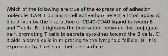 Which of the following are true of the expression of adhesion molecule ICAM-1 during B-cell activation? Select all that apply. A) It is driven by the interaction of CD40-CD40 ligand between B and T cells. B) It tightens the interaction between the conjugate pair, promoting T cells to secrete cytokines toward the B cells. C) It aids plasma cells in migrating to the lymphoid follicle. D) It is expressed by T cells on their cell surface.