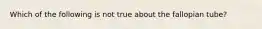 Which of the following is not true about the fallopian tube?