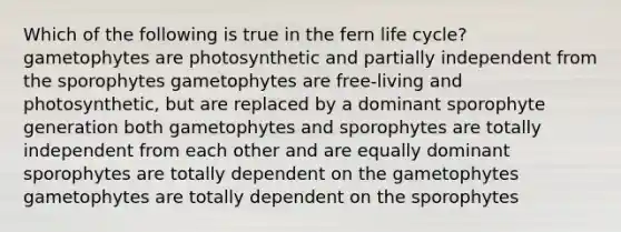 Which of the following is true in the fern life cycle? gametophytes are photosynthetic and partially independent from the sporophytes gametophytes are free-living and photosynthetic, but are replaced by a dominant sporophyte generation both gametophytes and sporophytes are totally independent from each other and are equally dominant sporophytes are totally dependent on the gametophytes gametophytes are totally dependent on the sporophytes