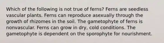 Which of the following is not true of ferns? Ferns are seedless <a href='https://www.questionai.com/knowledge/kbaUXKuBoK-vascular-plants' class='anchor-knowledge'>vascular plants</a>. Ferns can reproduce asexually through the growth of rhizomes in the soil. The gametophyte of ferns is nonvascular. Ferns can grow in dry, cold conditions. The gametophyte is dependent on the sporophyte for nourishment.