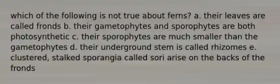 which of the following is not true about ferns? a. their leaves are called fronds b. their gametophytes and sporophytes are both photosynthetic c. their sporophytes are much smaller than the gametophytes d. their underground stem is called rhizomes e. clustered, stalked sporangia called sori arise on the backs of the fronds